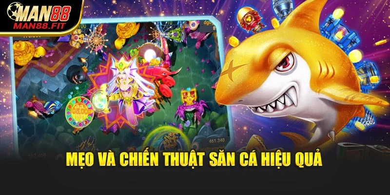 meo-va-chien-thuat-san-ca-hieu-qua